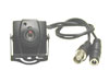 Specialty Cameras